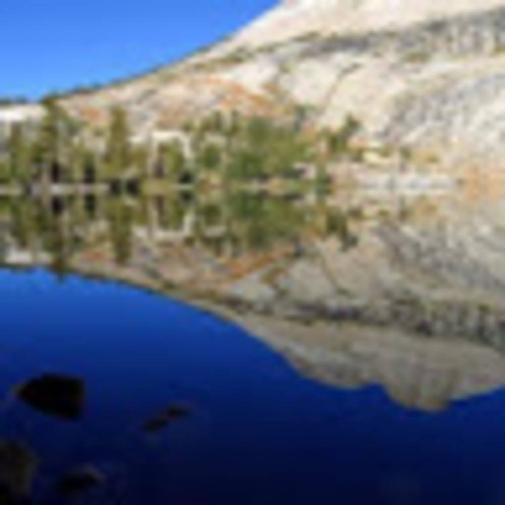 Meet your Posher, Gamingwithian